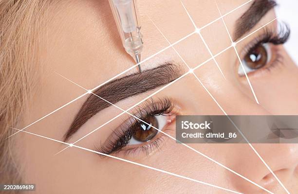 istockphoto 2202869619 612x612